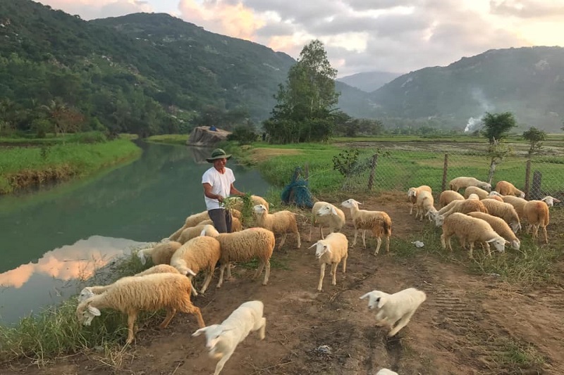 Ảnh slide minh họa 2